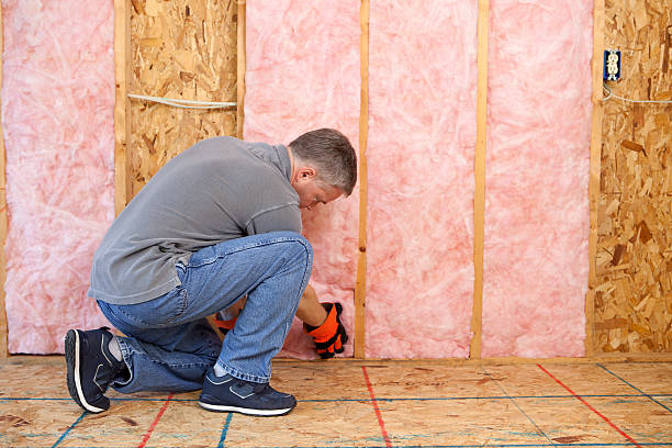 Best Cellulose Insulation in Hartsdale, NY